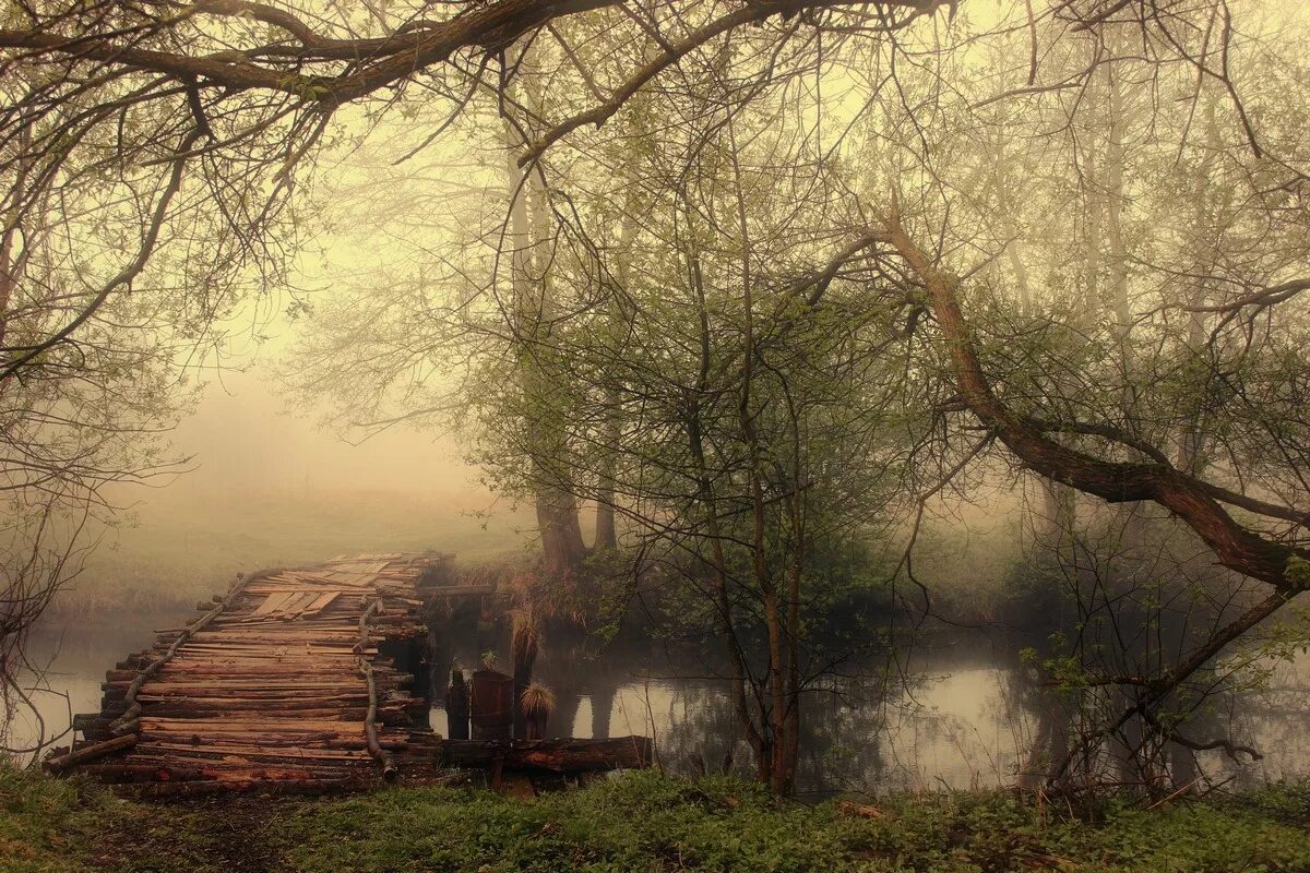 Холм тишины. Живописные пейзажи фотографа Игоря Денисова.