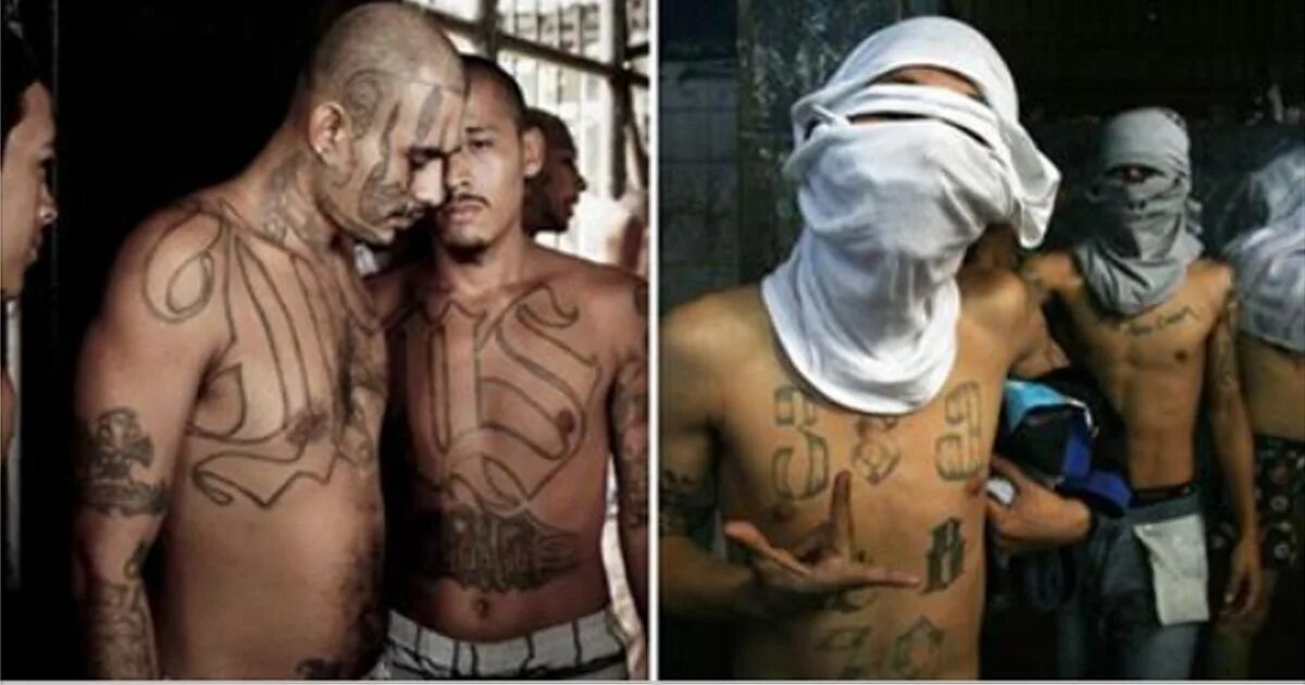 преступные группировки в сша