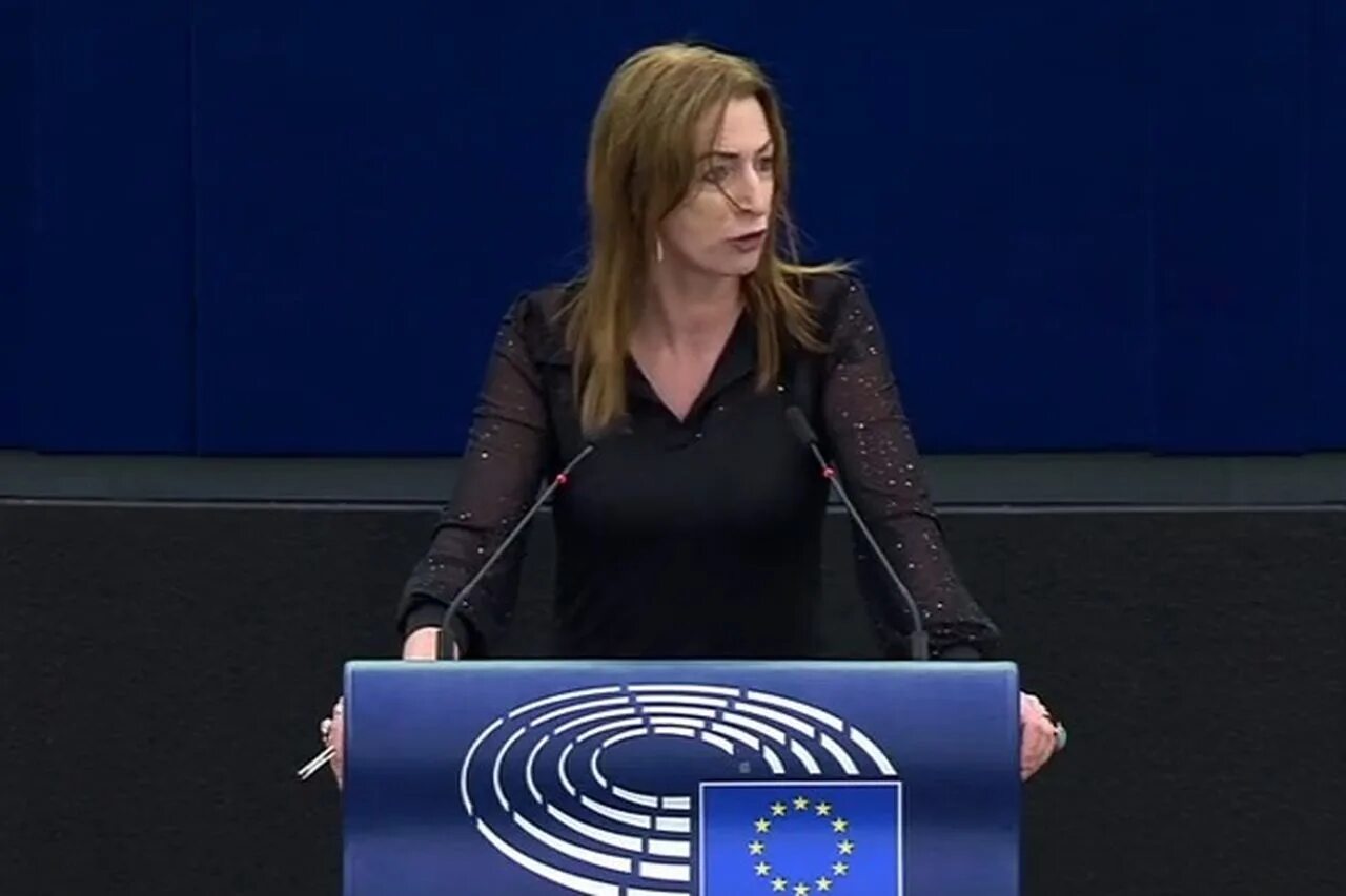 Выступление в европарламенте