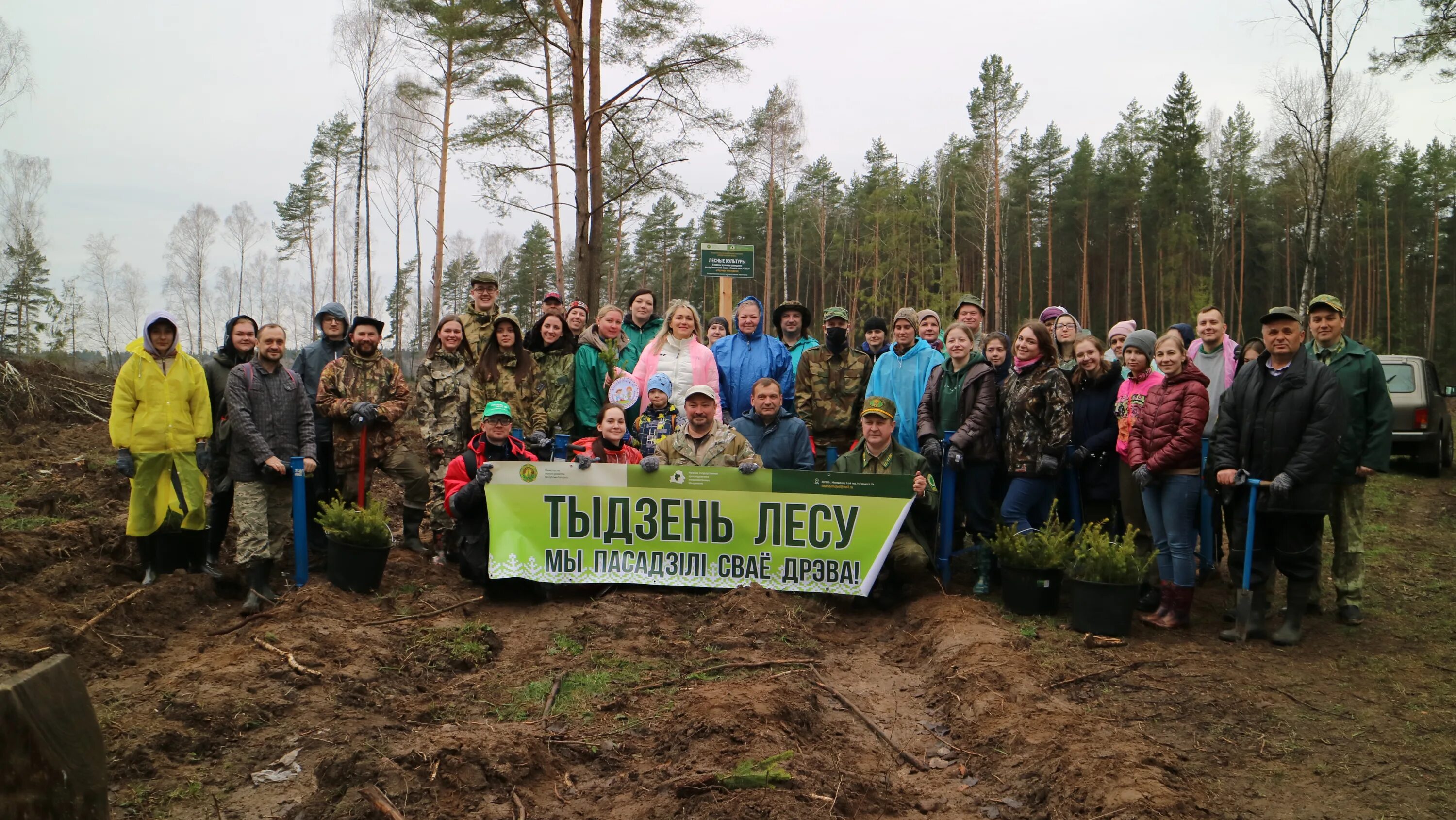 Леса Беларуси. День леса в 2023 году в России. Лесная Республика. Апрель в лесу. 14 апреля республика