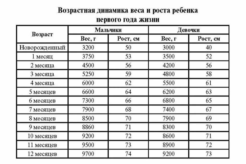 Вес в 6 5 месяцев