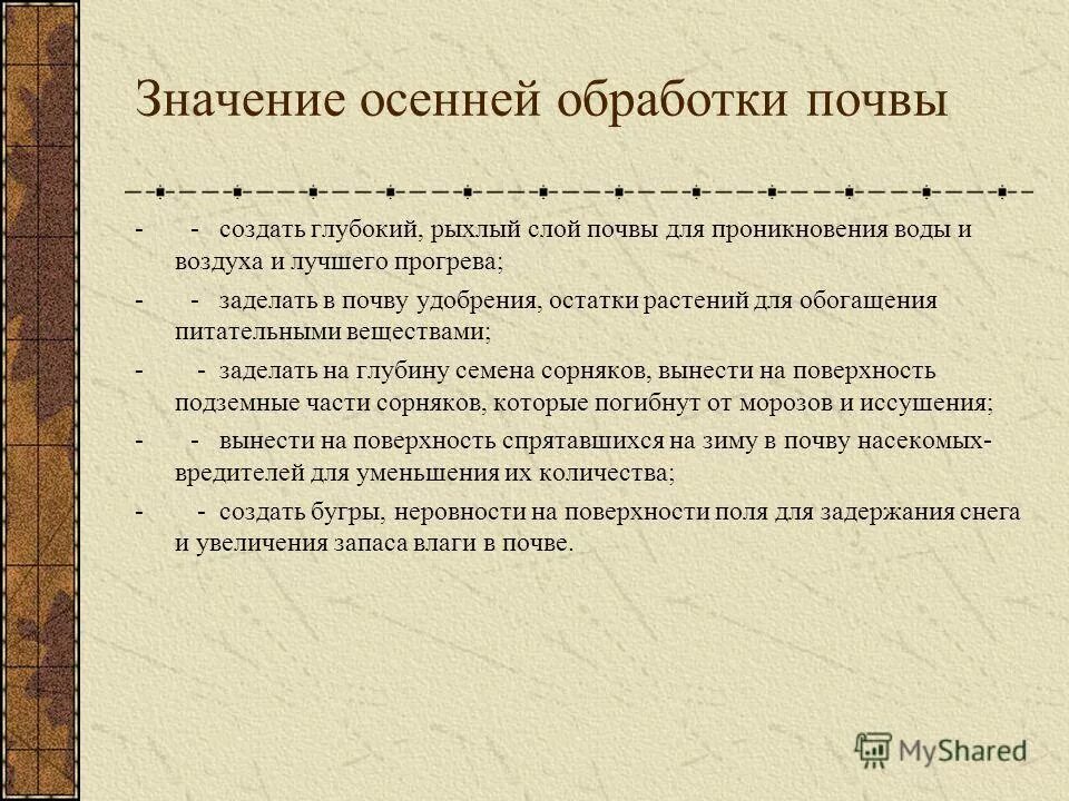 Проект по русскому языку 3 класс рассказ о слове осень. Слова обозначающие осень. Значение слова время. Осенит значение слова. Осенние слова.