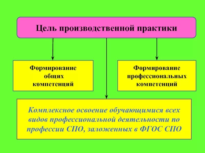 Компетенции прохождения практики