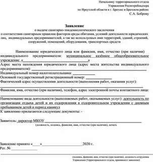Заявление в лагерь дневного пребывания