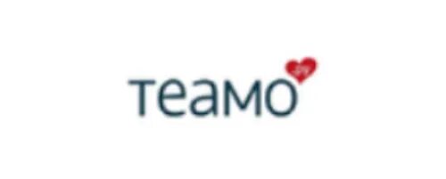 Теамо свердловская область мужчины 5590. Логотип Теамо. Теамо.ру. Teamo teamo teamo. Теамо надпись.