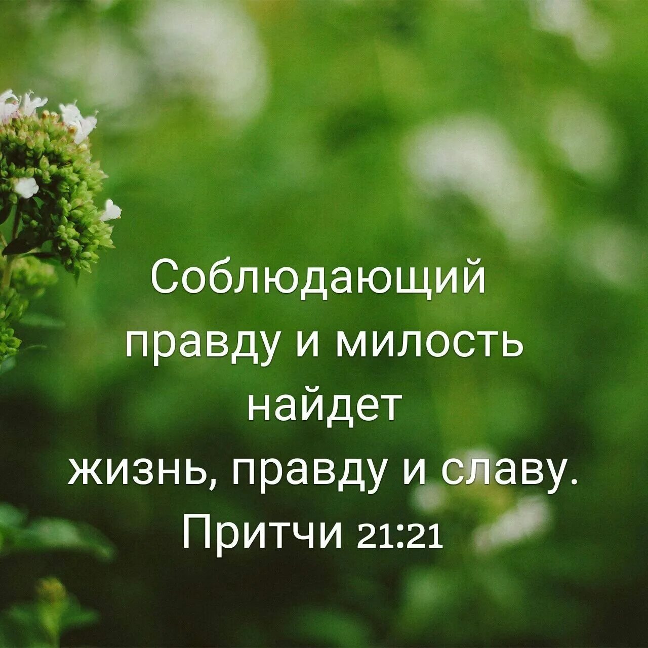 христианские картинки каждый день. цитаты из библии. христианские картинки каждый день. стихи из библии. христианские картинки каждый день.