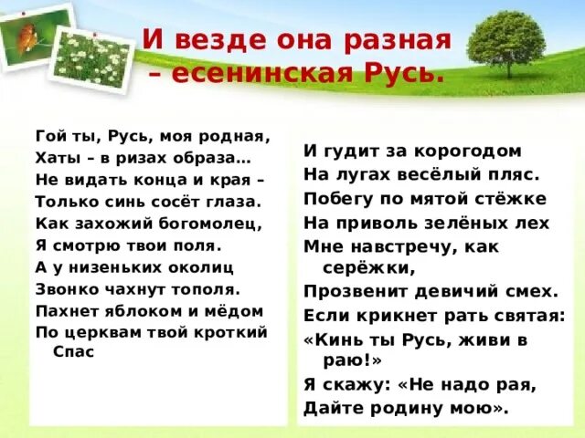 Стихотворение гой ты Русь моя родная. Гой ты Русь моя родная ударения в словах. Гой ты Русь моя родная Есенин текст. Гой ты Русь моя родная тропы.