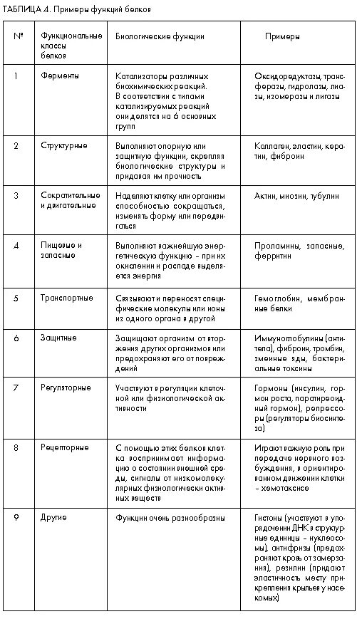 Функции типы белков. Биологические функции белков таблица. таблица биологические функции белков характеристика. биологическая роль белков таблица. функции белков и характеристика таблица.
