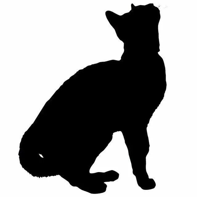 Силуэт кошки картинки. Кошачий силуэт. очертание кошки. силуэт кошки.