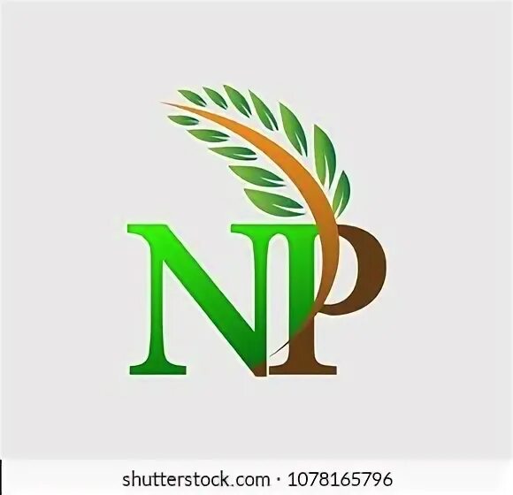 P n np