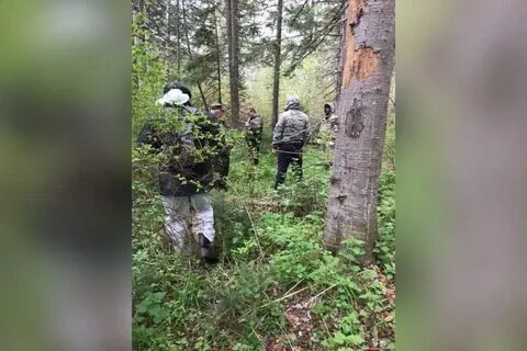 Нашли пропавшего в лесу