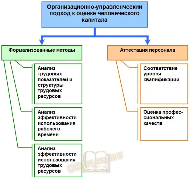 Методы оценки человеческого капитала. Методы оценки человеческого капитала организации. Показатели человеческого капитала.