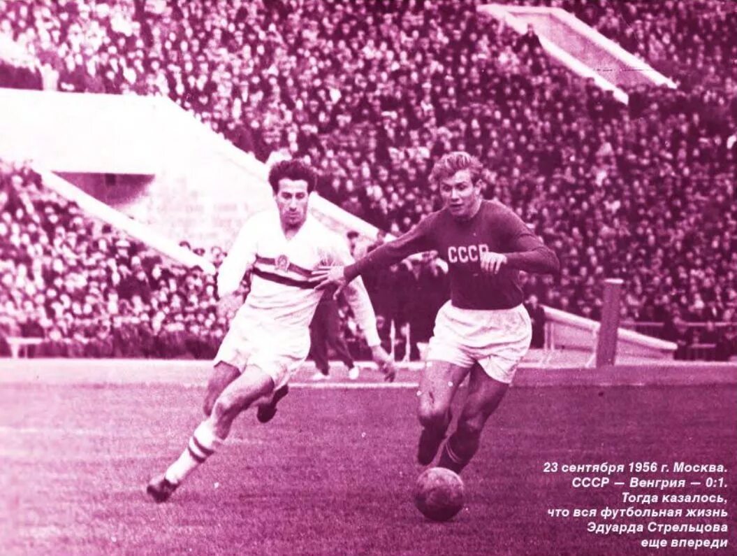стрельцов 1956. 1956 год лев. 1956 год улица. лев яшин золотой мяч 1963. 1956 год лев.
