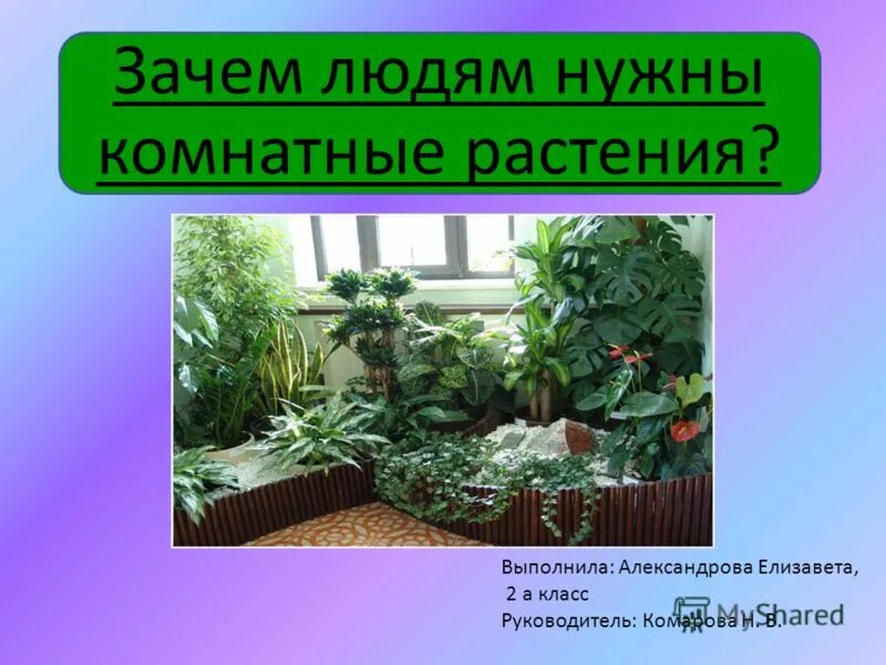 Для чего нужны комнатные растения. Зачем человеку нужны комнатные растения. Почему нужны комнатные растения. Шутки про комнатные растения.