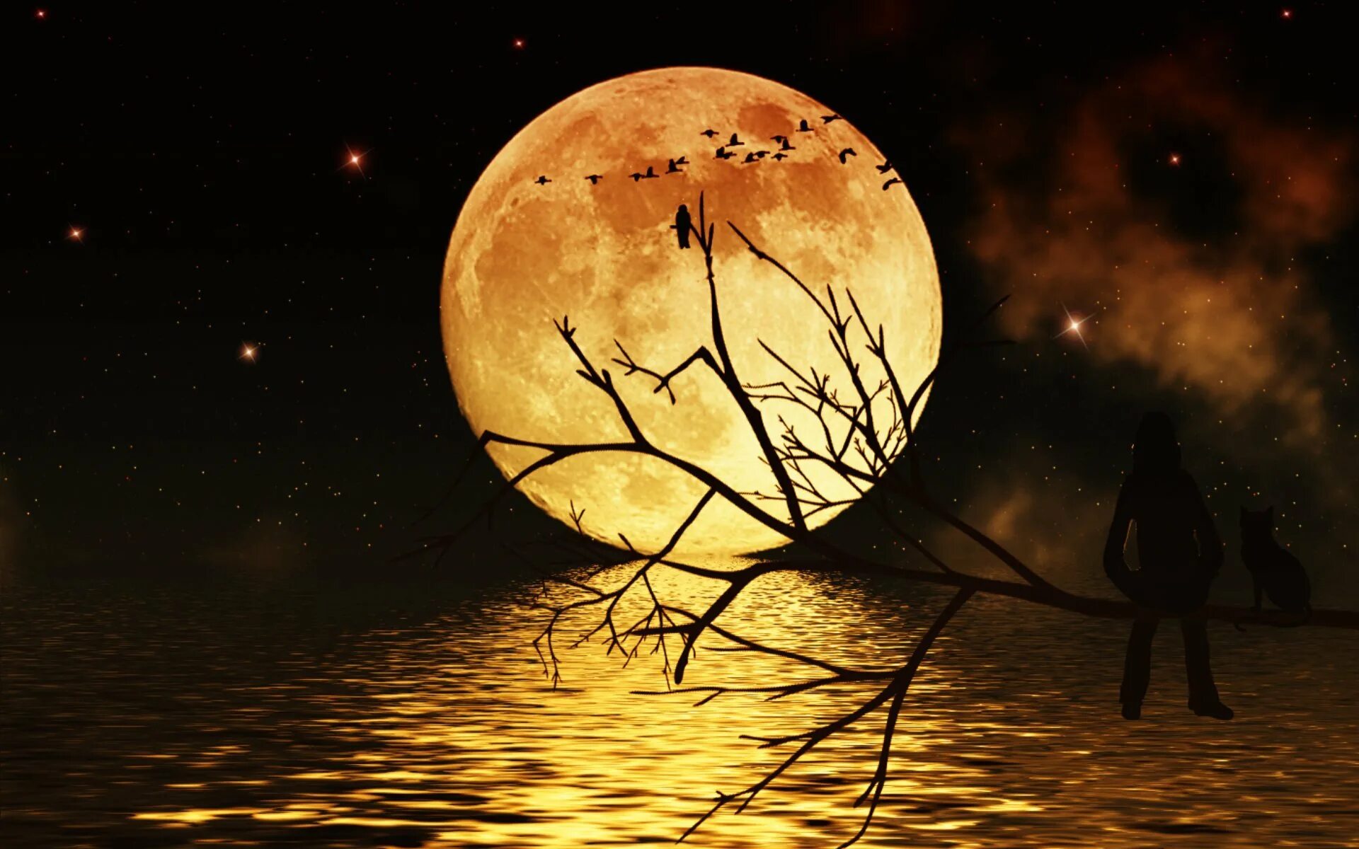 Чудесны лунные мартовские ночи впр 5. Осенняя ночь Луна. Осень ночь. Осенний лунный пейзаж. Картина полнолуние.