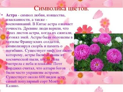 Какое растение символ любви