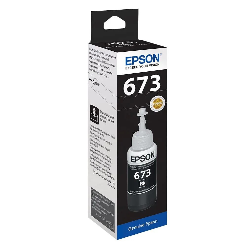 Epson t6731