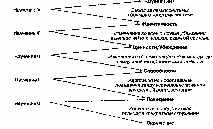 Уровни научения