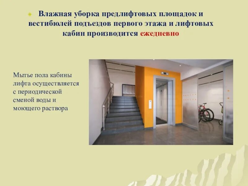 Содержание лестничных клеток. Уборка лифтов в многоквартирном доме. содержание лестничных клеток в многоквартирном доме. лифтовая площадка в подъезде. порядок в подъезде жилого дома.