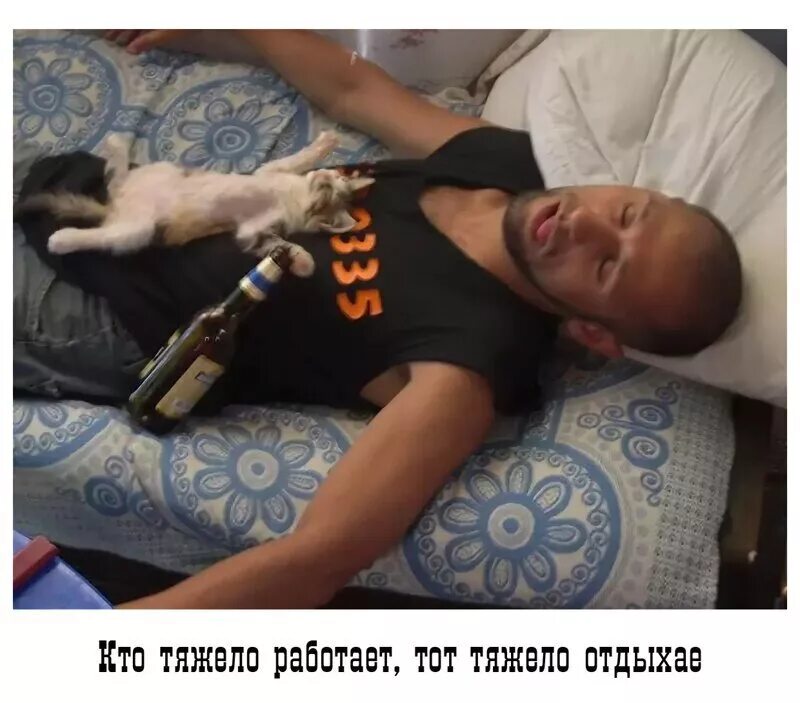Видео спящих пьяных парней. Кот бухает с хозяином. Кот алкоголик.