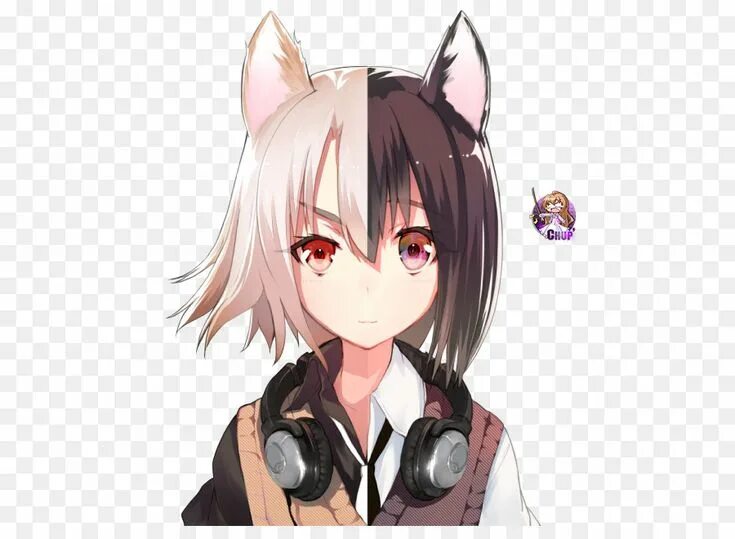 Cat ears girl. Cat ears girl. Aesthetic pfp с ушками кошки. Amashiro natsuki. Cat ears girl.