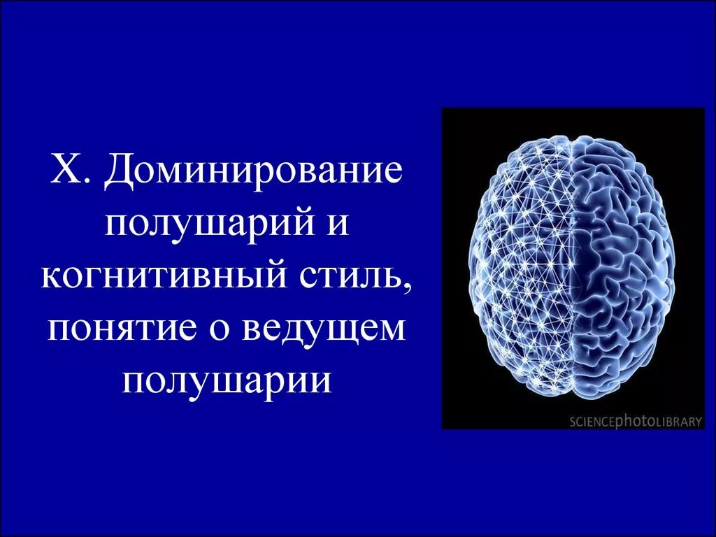 Доминантность полушарий. Концепция доминантности полушарий. Доминирование полушарий мозга. Ведущее полушарие. Правое полушарие доминирует