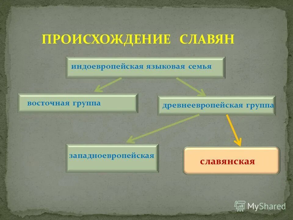 Индоевропейская семья языков славянская группа