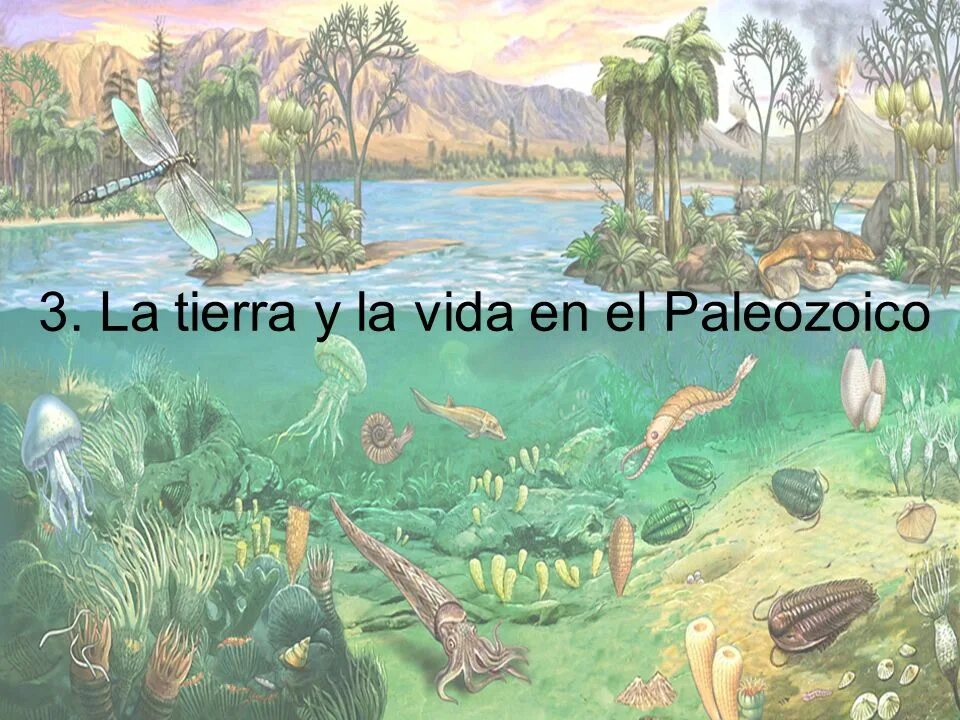 Протерозойская 2 палеозойская 3 мезозойская. Палеозойская и Мезозойская эры. Организмы мезозойской эры.