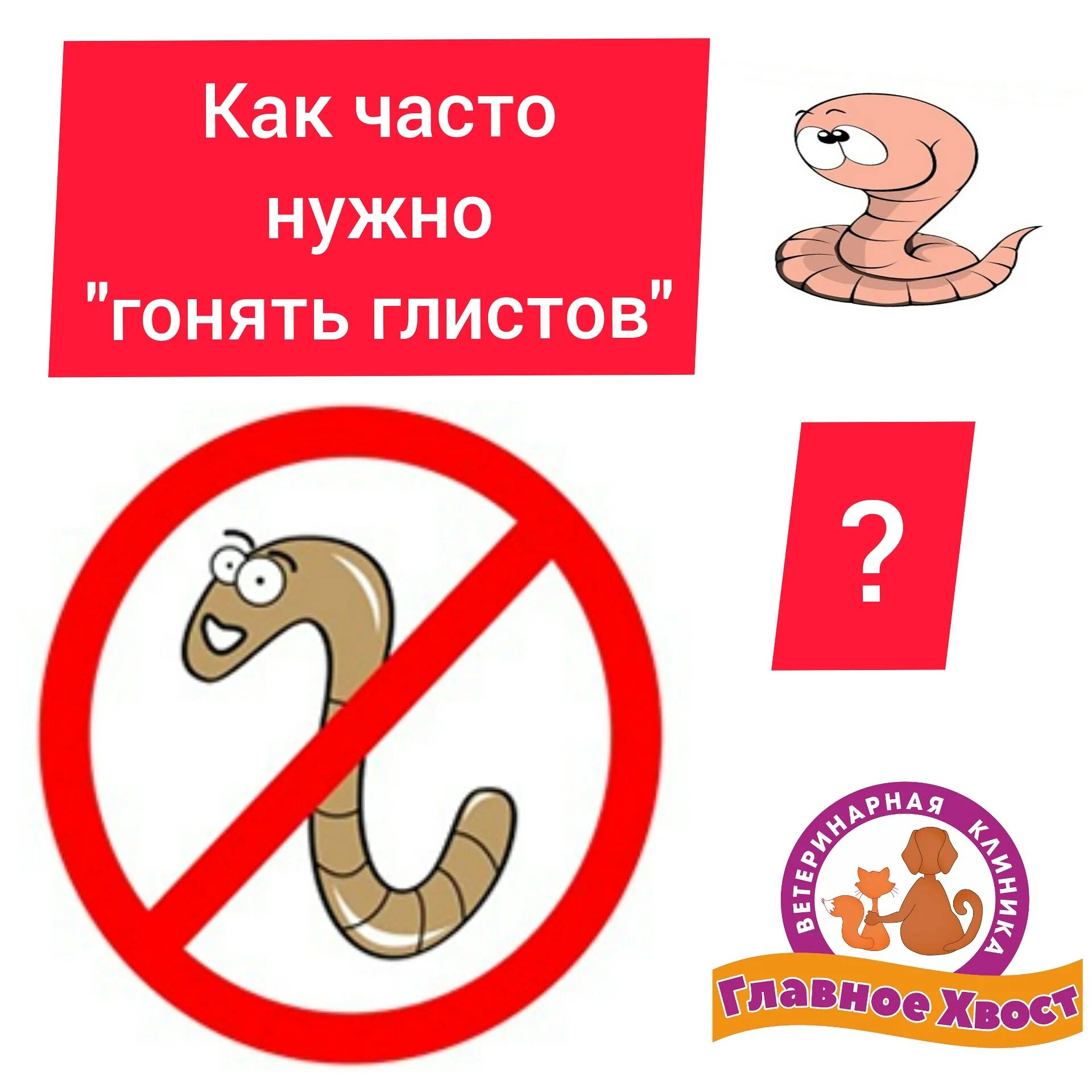 Как часто можно травить. Как часто нужно травить глистов. протравить ребенку глистов.