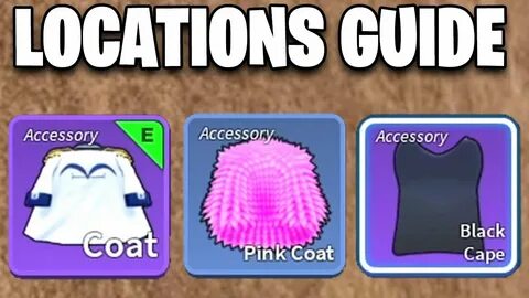 Blox fruits coat