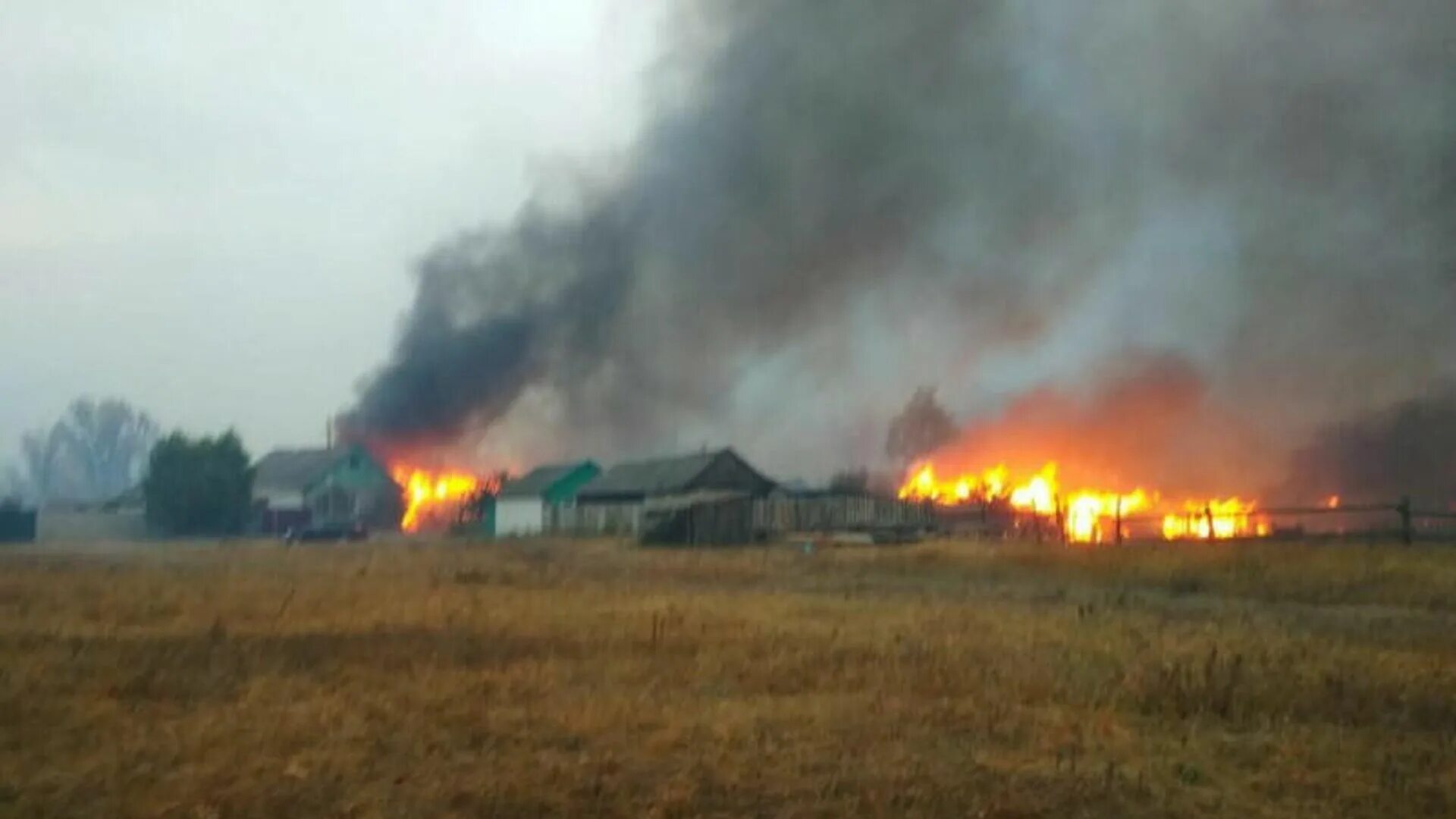 Селе николаевка воронежской области. Воронежская область Павловский район село Николаевка пожар лес. Пожар в Николаевке Воронежской области Павловского района. Село Николаевка Воронежская область Павловский район. Николаевка Павловский район пожар.