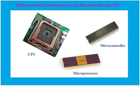 Микропроцессоры различаются между собой