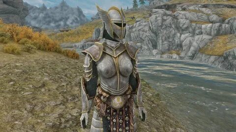 Gray armor