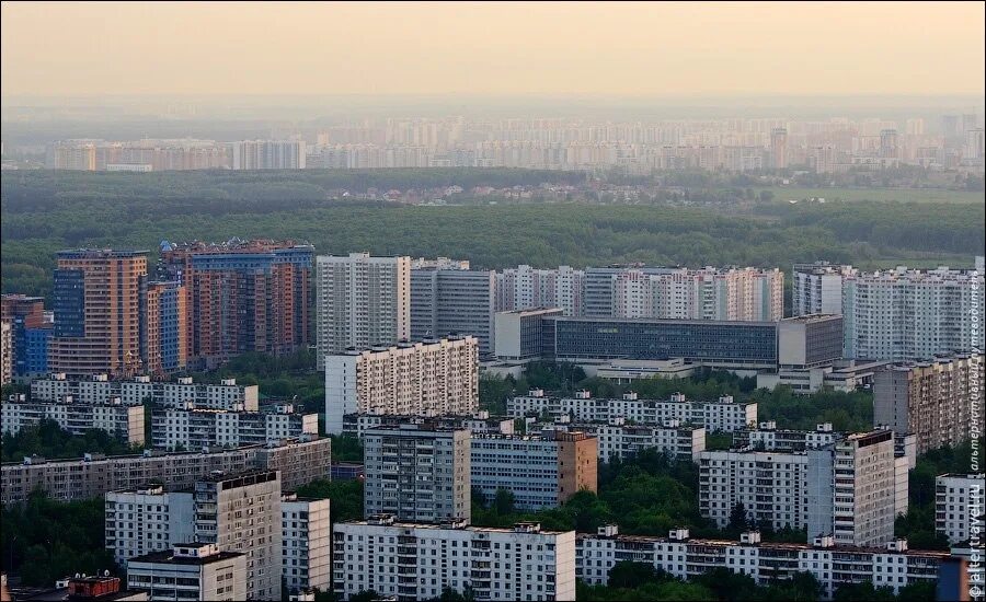 Черемушки часть. Район Черемушки. Черемушки Москва. ЮЗАО Черемушки. Деревня Черемушки Москва.