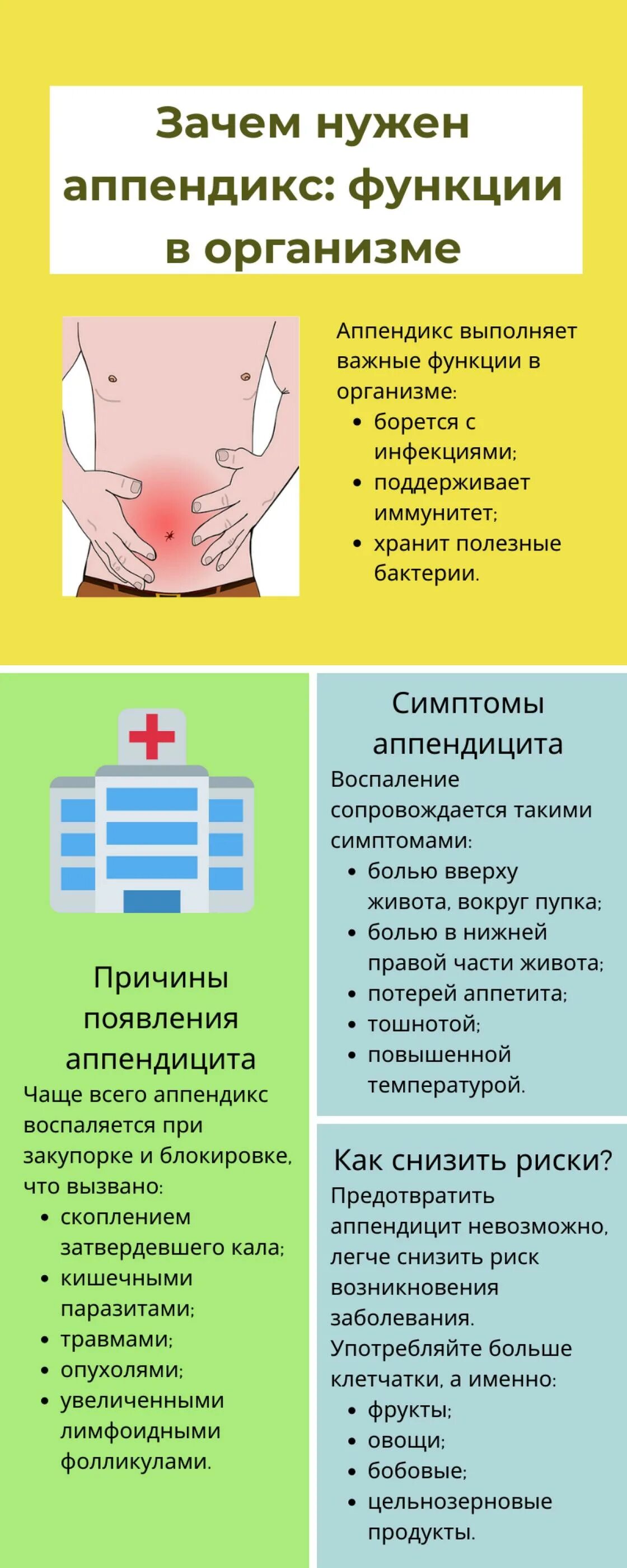 Что делает аппендикс. Зачем нужен аппендикс функции.