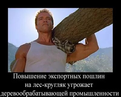 Шварценеггер с бревном