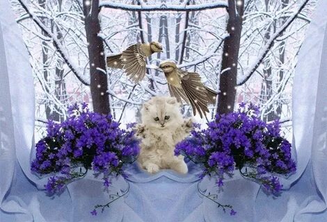 Картинки с добрым утром зимне весенние