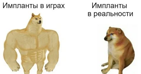 Мем собака и ребенок