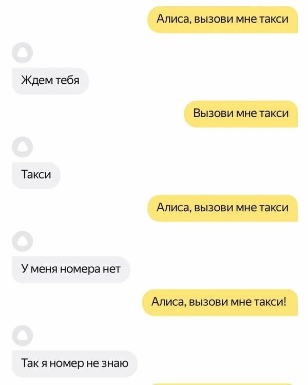 Алиса ты меня сейчас понимаешь. Алиса мне плохо. алиса ты можешь говорить.