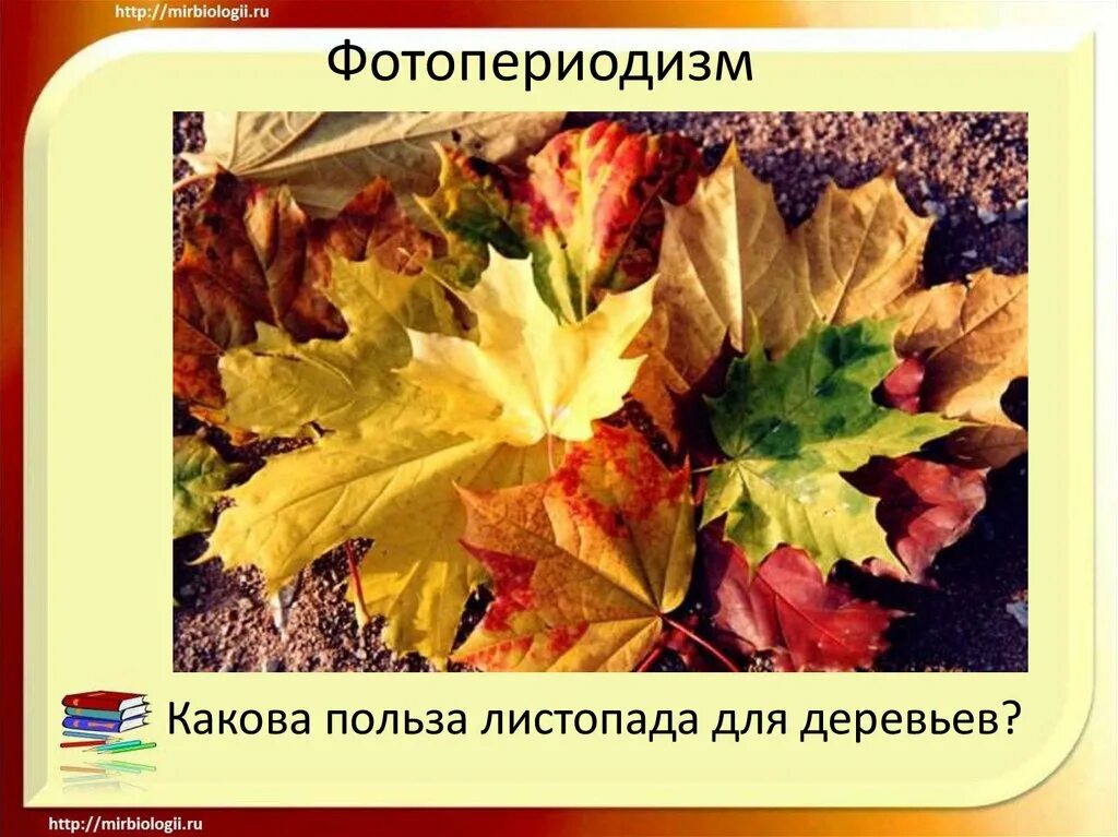 Фотопериодизм у растений. Фотопериодизм у животных примеры. Фотопериодизм у растений примеры. Какова роль фотопериодизма в жизнедеятельности животных растений. Фотопериодизм у животных.