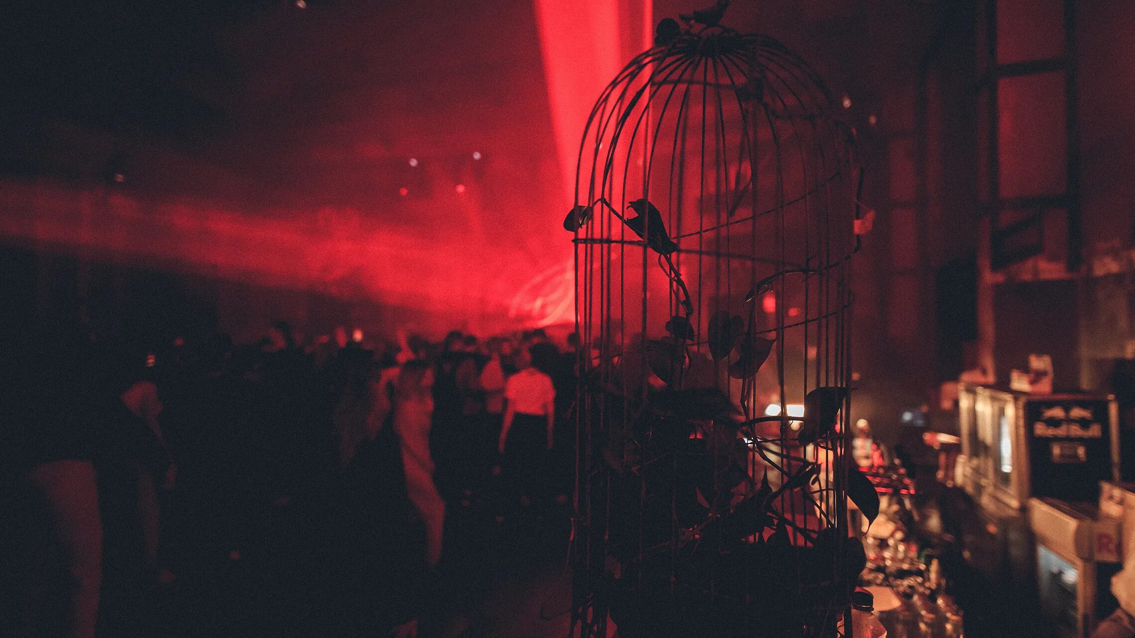 мутабор арма. мутабор клуб на шарикоподшипниковской. ночной клуб мутабор. ночной клуб мутабор москва. мутабор клуб фото.