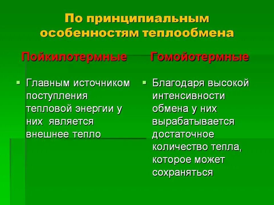 Какие животные относятся к пойкилотермным животным