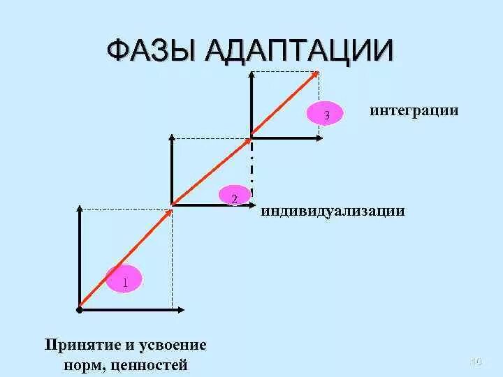 Укажите стадии адаптации. Фазы индивидуальной адаптации. Фазы процесса адаптации. Фазы механизма адаптации. 3 Фазы адаптации.