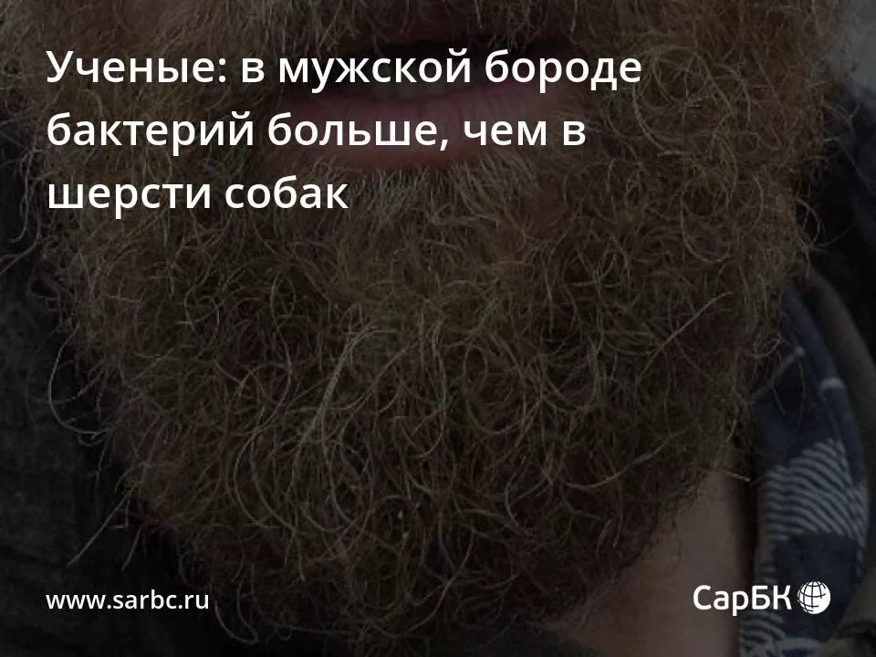 Сколько микробов в бороде. Грязная борода. Интересные факты о бороде. Красивая мужская борода. Борода из травы.
