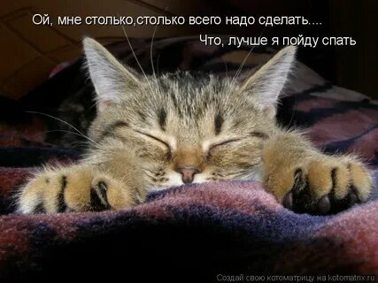 Ой я буду спать