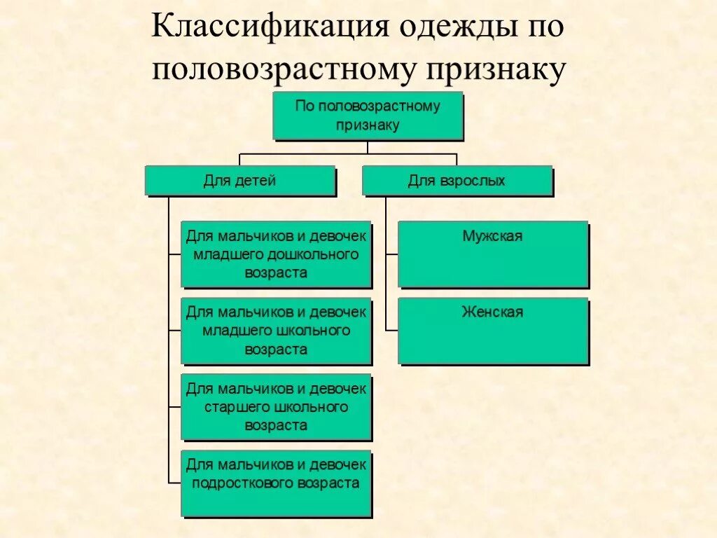 Подразделение одежды