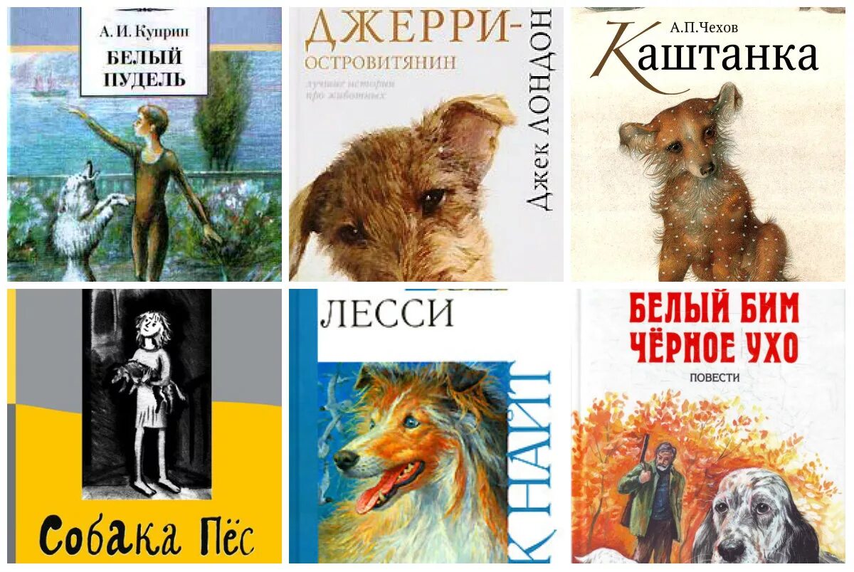 Ghjbpdtltybz j CJ,FRFP. Произведения про собак. Книги о собаках Художественные. Образ собаки в литературе. Собаки герои литературных произведений