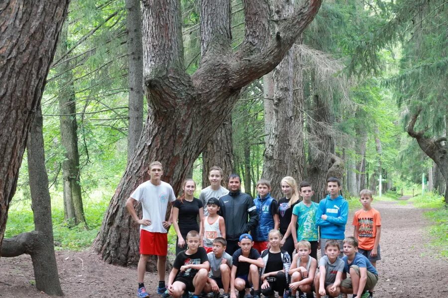 Лагерь сокол ульяновск. Спортивный лагерь сокол благовещенский район. Лагерь сокол благовещенский район. Лагерь сокол уфа. Спортивный лагерь сокол акшуат.