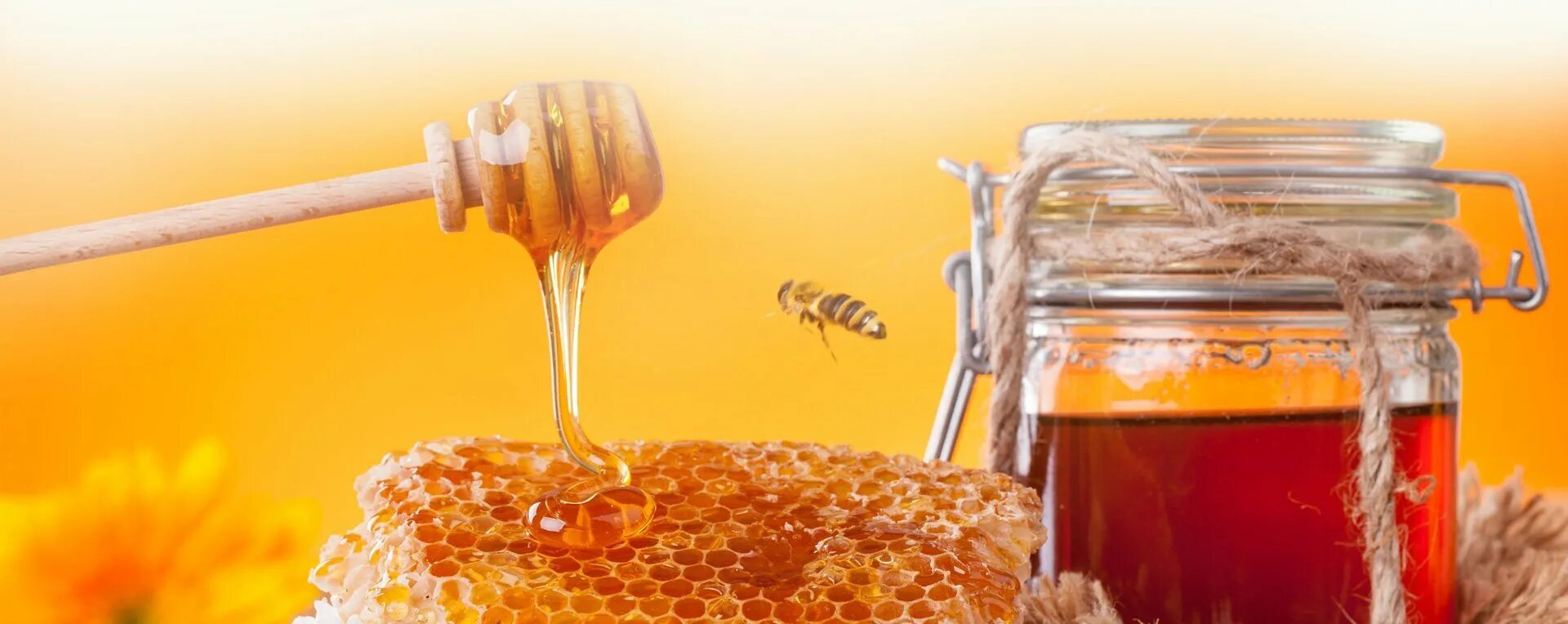 Пчелиный мёд. Фон для рекламы меда. Баннер мед. Рекламный плакат про мед. Бешеный мед