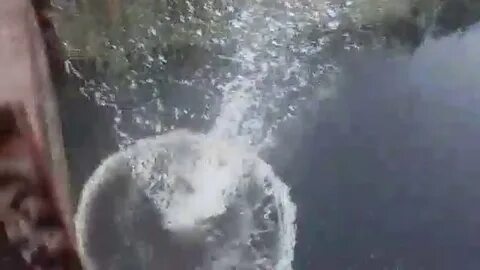 Кинули в воду